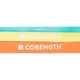 CORENGTH-TRAINING-BAND-15-KG-COLO-1---8484819848482184848208785433---000-----Expires-on-06-01-2032