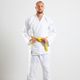 Judo 100 adult, 180cm 170CM