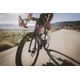 Fcr cf ultegra di2 purple, xl GG