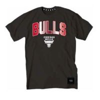 *t-shirt bulls preta oi24*, xl G