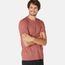 Ts 500 slim gym dark grey, 2xl Bordo M