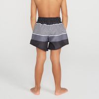 *berm surf 100 inf folhas vd pv, 10years Cinza 7-8 ANOS