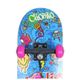 *skateboard semi-pro charlie brown jr, .