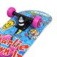 *skateboard semi-pro charlie brown jr, .