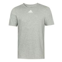 *camiseta small logo cza adidas oi24, xl G