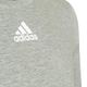 *camiseta small logo cza adidas oi24, xl G