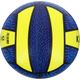 ballon-bv100-blue-fish-3