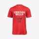 Camisa Infantil de Basquetebol NBA Chicago Bulls TS 900 JR, unica, 7-8 ANOS