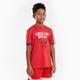 Camisa Infantil de Basquetebol NBA Chicago Bulls TS 900 JR, unica, 7-8 ANOS