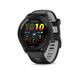 *garmin fr 265 music gps pto eu, no size