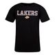 *t-shirt preta cubic la lakers masc, xl G