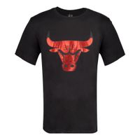 *t-shirt preta chicago bulls masc pv, xl P