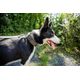 Dog collar outdoor 500 terracotta, l Verde G
