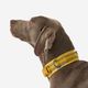 Dog collar outdoor 500 terracotta, l Amarela G