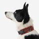 Dog collar outdoor 500 terracotta, l Terracotta G