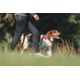 Dog collar outdoor 500 terracotta, l Terracotta G