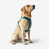 Outdoor terracotta dog harness 500, m Azul G