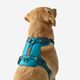 Outdoor terracotta dog harness 500, m Azul G
