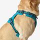 Outdoor terracotta dog harness 500, m Azul G
