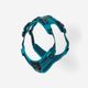 Outdoor terracotta dog harness 500, m Azul G