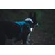 Outdoor terracotta dog harness 500, m Azul G