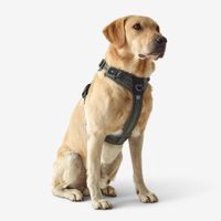 Outdoor terracotta dog harness 500, m Verde G
