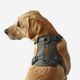 Outdoor terracotta dog harness 500, m Verde G