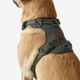 Outdoor terracotta dog harness 500, m Verde G