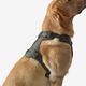 Outdoor terracotta dog harness 500, m Verde G