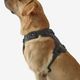 Outdoor terracotta dog harness 500, m Verde G