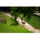 Outdoor terracotta dog harness 500, m Verde G