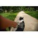 Outdoor terracotta dog harness 500, m Verde G