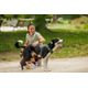 Outdoor terracotta dog harness 500, m Verde G