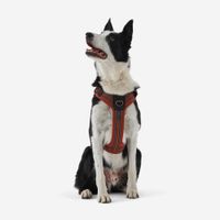 Outdoor terracotta dog harness 500, m Terracotta M