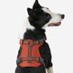 Outdoor terracotta dog harness 500, m Terracotta M