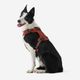 Outdoor terracotta dog harness 500, m Terracotta M