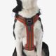 Outdoor terracotta dog harness 500, m Terracotta M