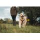 Outdoor terracotta dog harness 500, m Terracotta M