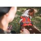 Outdoor terracotta dog harness 500, m Terracotta M