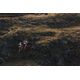 Mt3 trail woman purple patin, uk 7 eu41 Roxa 35 BR