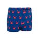 codigo-modelo-8603368