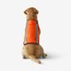 Jacket fluo orange, l Laranja G