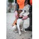 Jacket fluo orange, l Laranja G