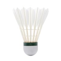 codigo-modelo-8490816