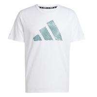 codigo-modelo-8970201