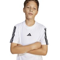 codigo-modelo-8683525