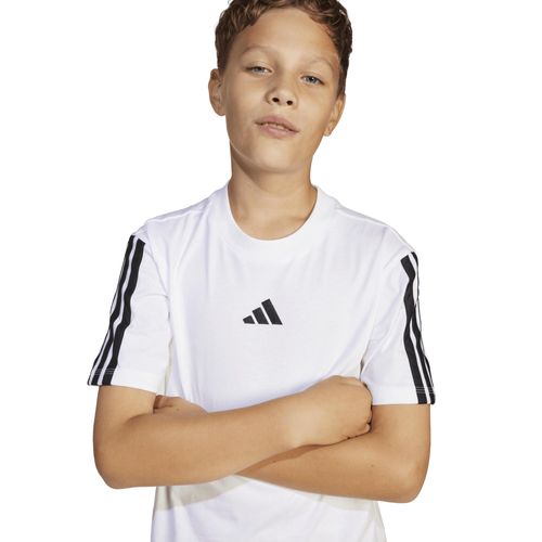codigo-modelo-8683525