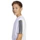 codigo-modelo-8683525
