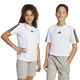 codigo-modelo-8683525