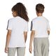 codigo-modelo-8683525